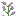 mcl_flowers_double_plant_syringa_top.png